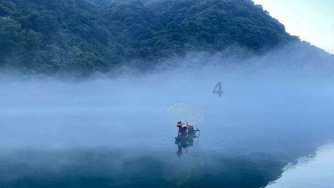 植物大战僵尸3