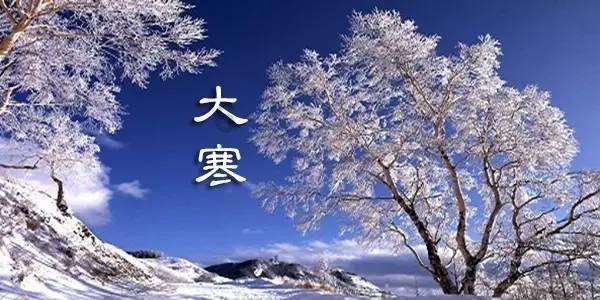 【阳光关注】宁夏释放自然资源红利助推乡村振兴