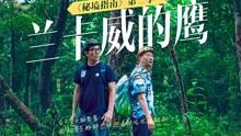 幻想纹章2.1
