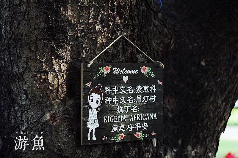 吸血鬼的谜语