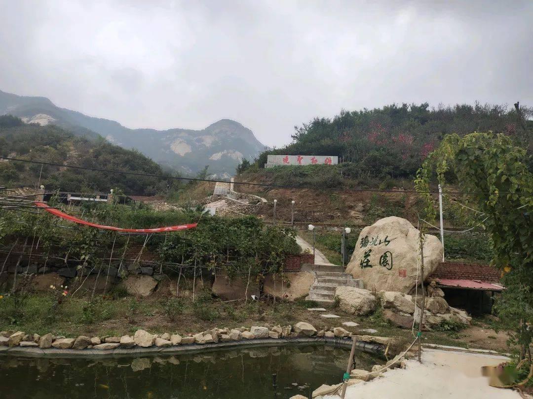 中法建交60周年,听法国作家、“熊猫守护使”和学者讲述他们的中国故事
