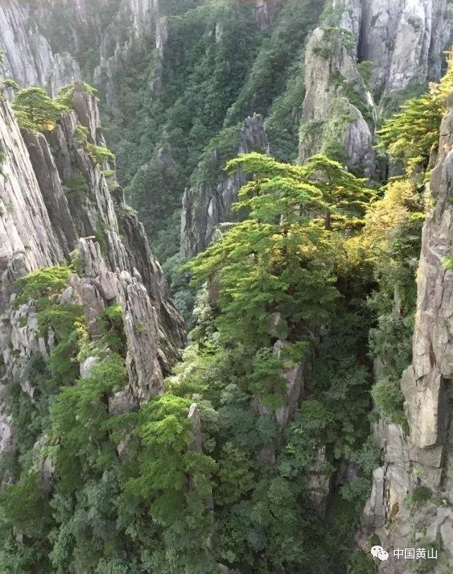 广东又新增一普通高中中外合作办学项目