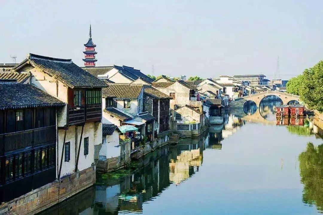 大山羔羊逃生